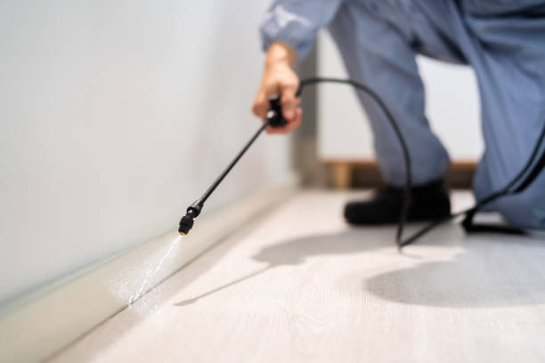 Bed Bug Pre-Treatment Preparation Assessment in Etowah