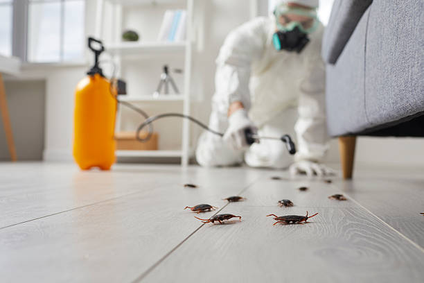 Post-Treatment Bed Bug Interceptor Monitoring in Etowah