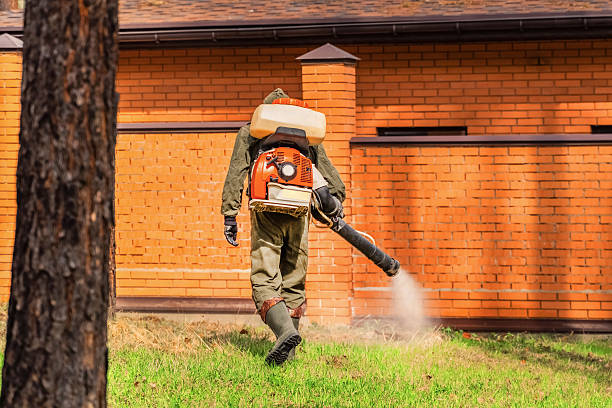Bed Bug Clearance Verification and Documentation in Etowah